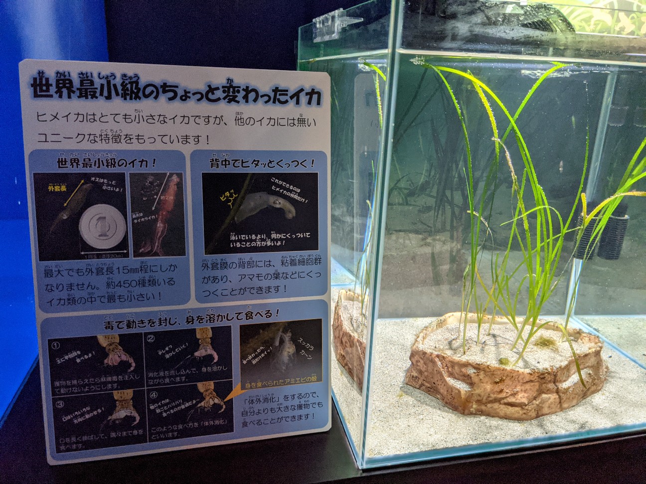 f:id:ranchou:20251221200812j:image