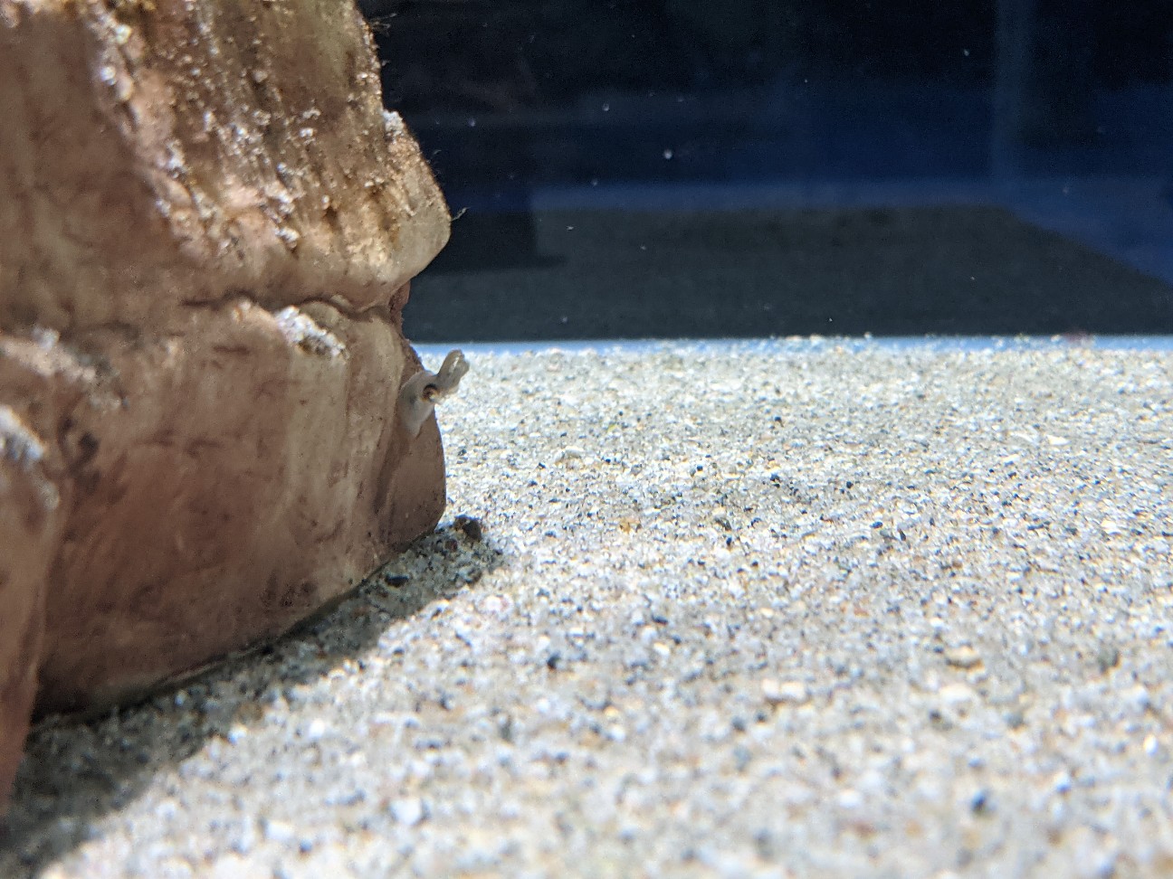 f:id:ranchou:20251221200821j:image