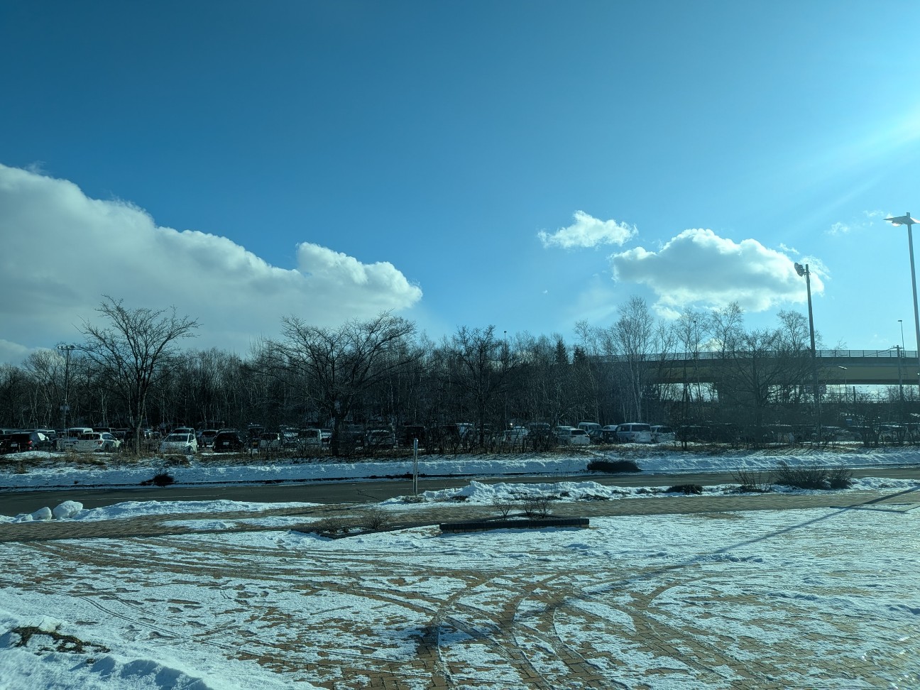 f:id:ranchou:20260101125942j:image f:id:ranchou:20260101125942j:image