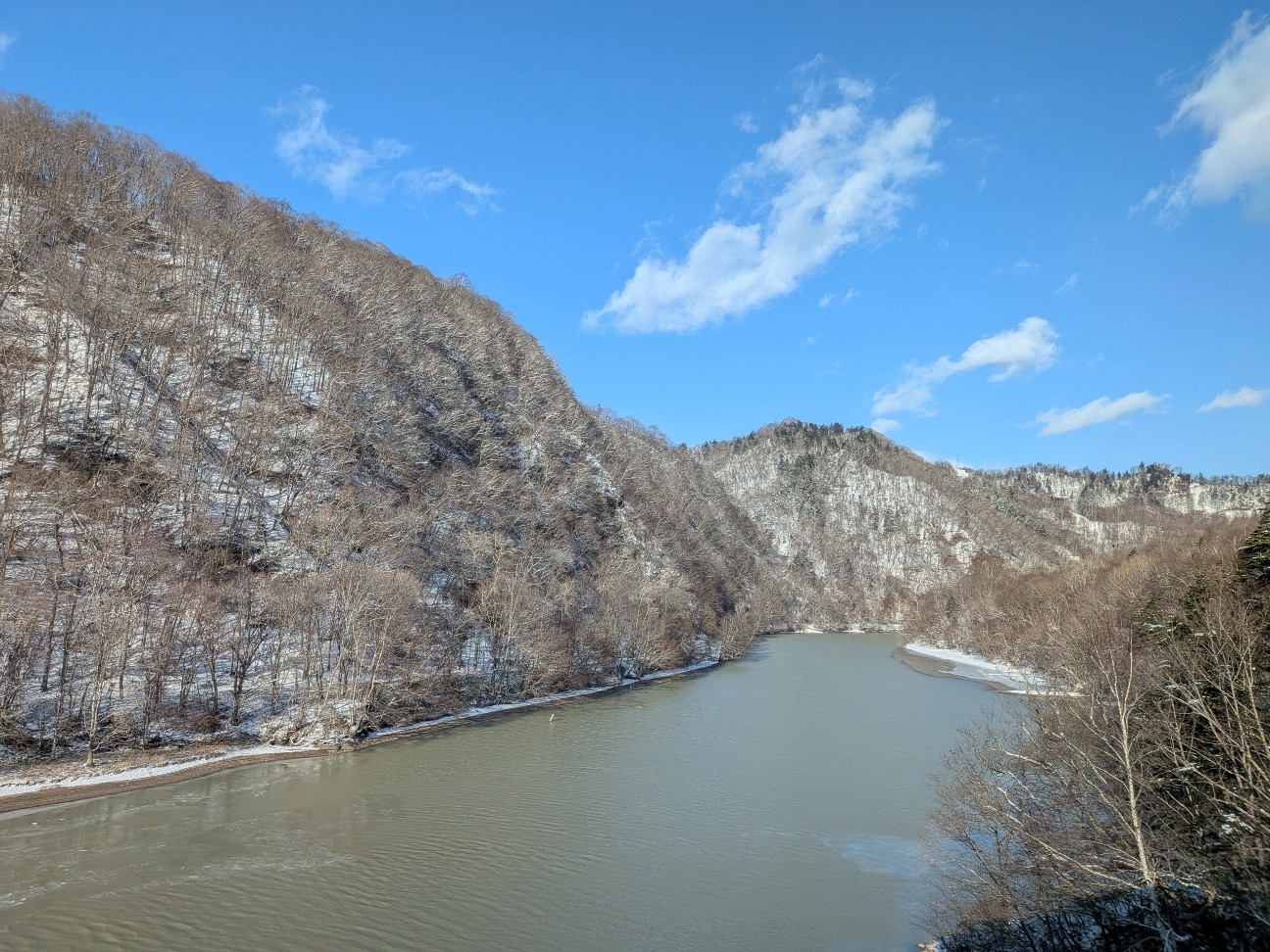 f:id:ranchou:20260101134131j:image f:id:ranchou:20260101134131j:image