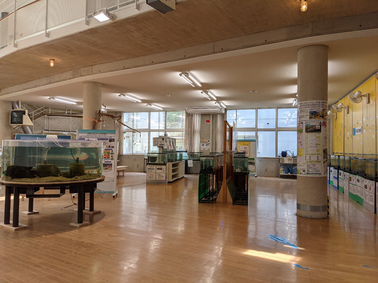 f:id:ranchou:20260107184230j:image f:id:ranchou:20260107184230j:image