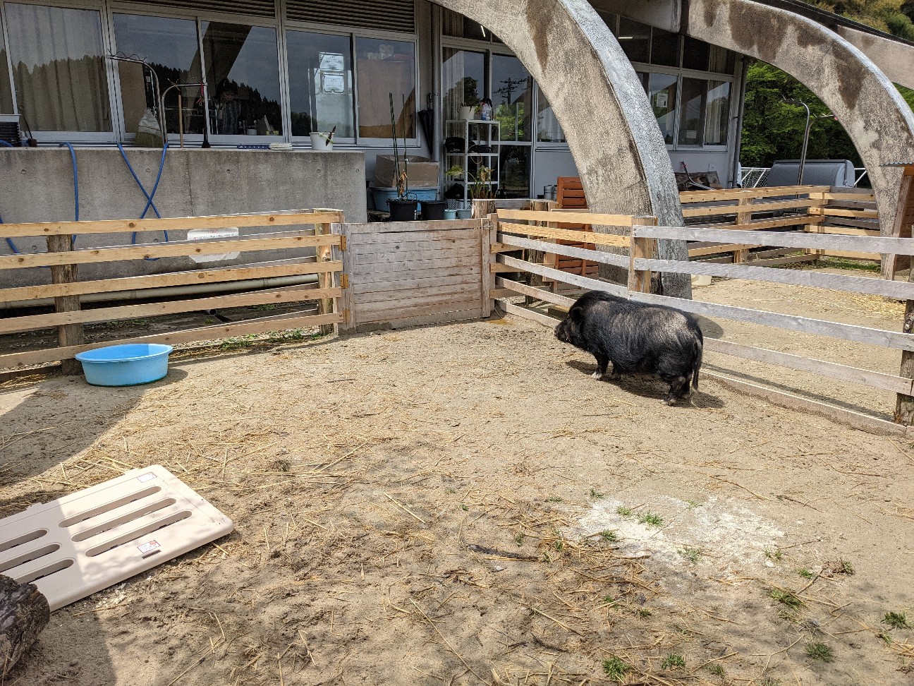 f:id:ranchou:20260107184521j:image f:id:ranchou:20260107184521j:image