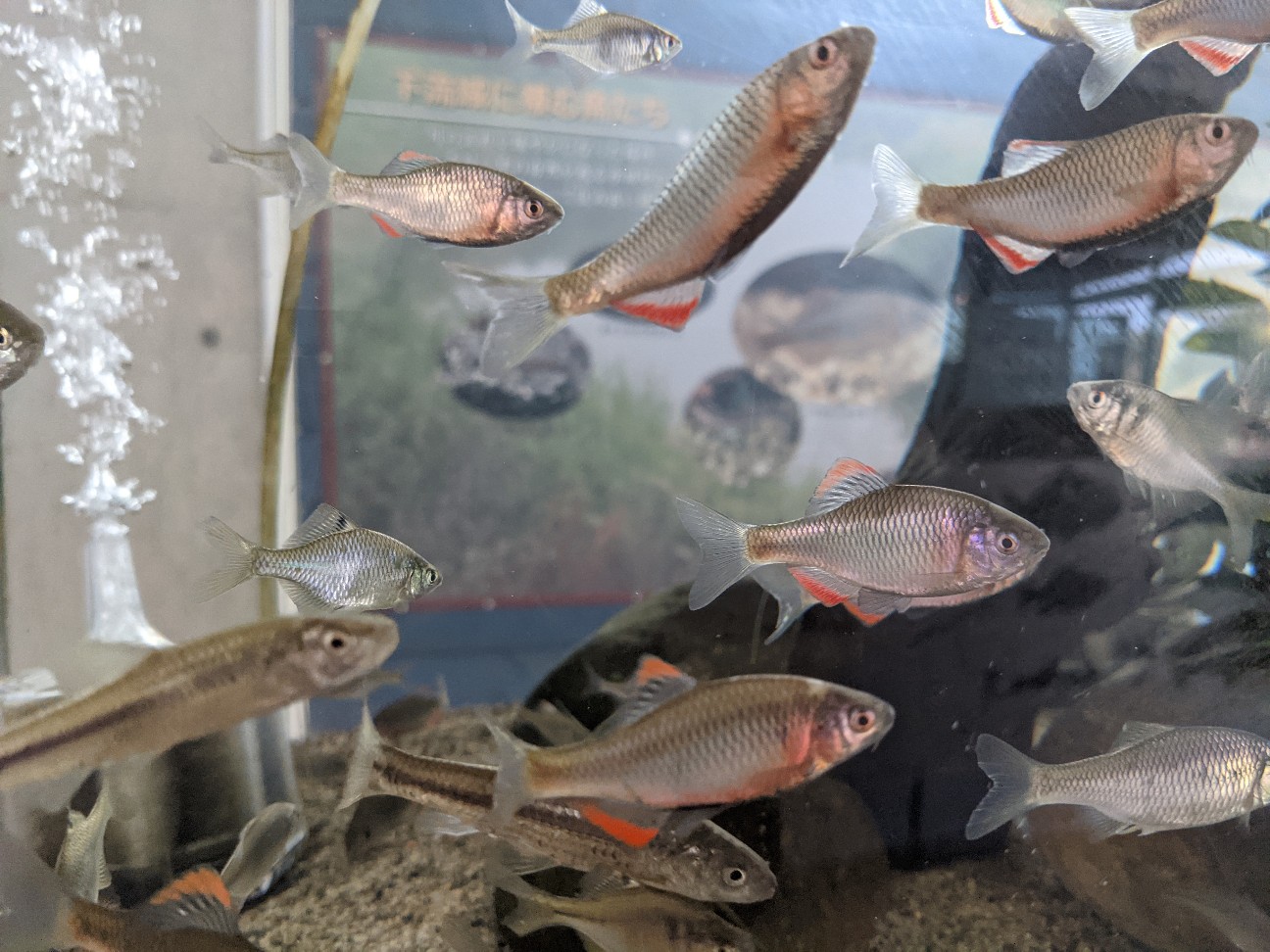 f:id:ranchou:20260107185351j:image f:id:ranchou:20260107185351j:image