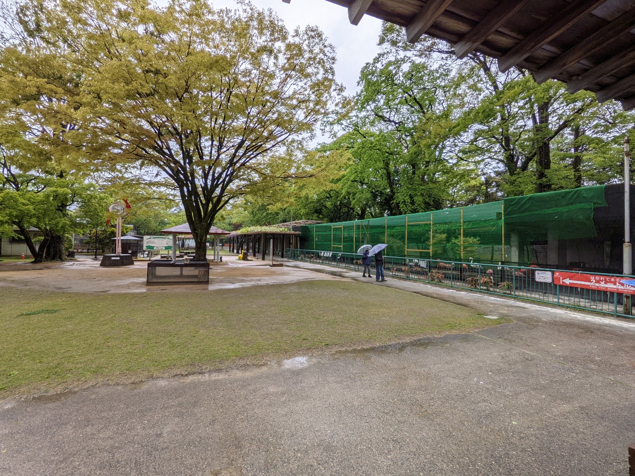 f:id:ranchou:20260109175410j:image f:id:ranchou:20260109175410j:image