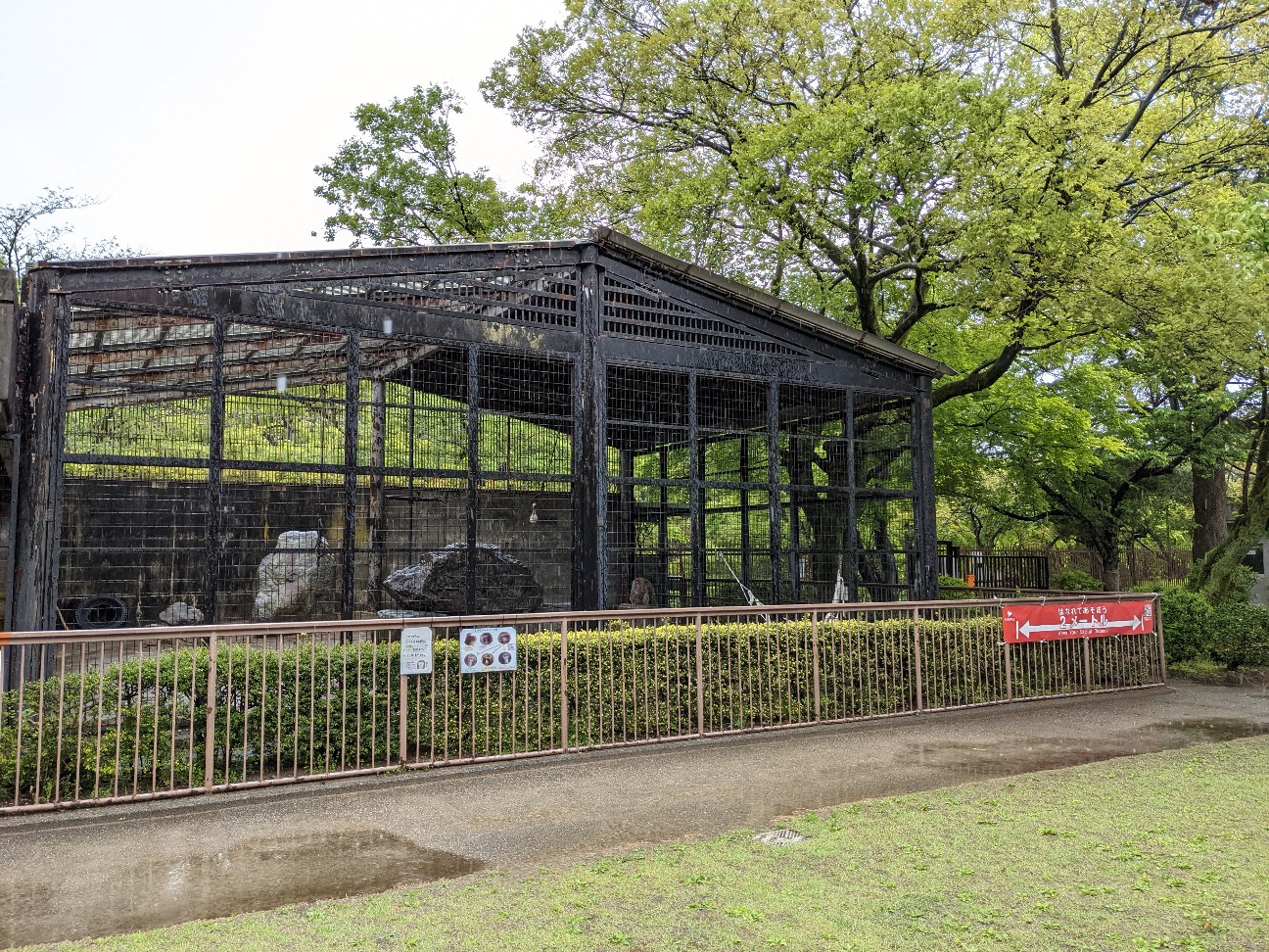 f:id:ranchou:20260109175521j:image f:id:ranchou:20260109175521j:image