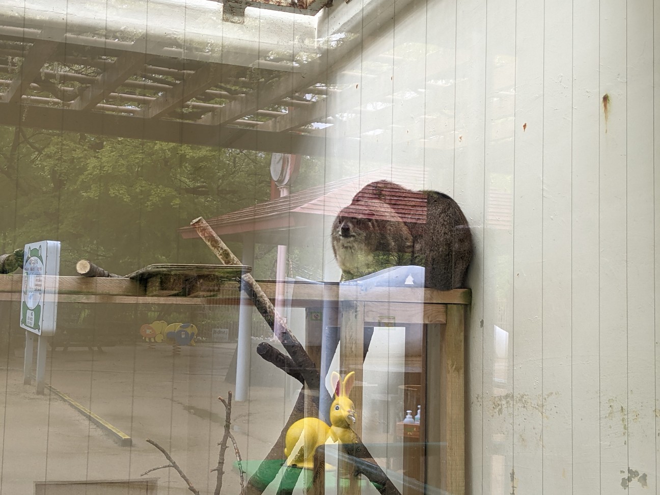 f:id:ranchou:20260109175543j:image f:id:ranchou:20260109175543j:image