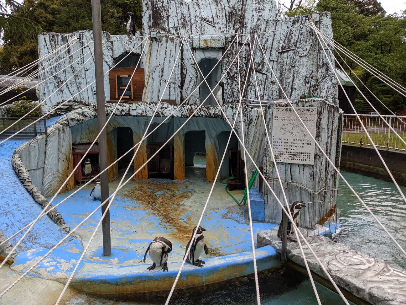 f:id:ranchou:20260109175551j:image f:id:ranchou:20260109175551j:image