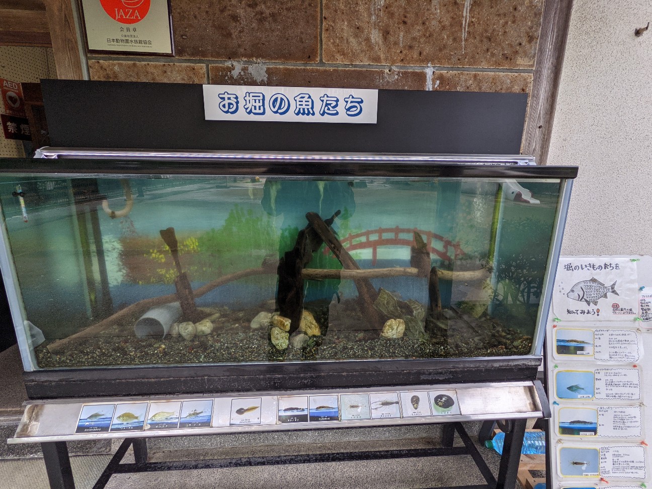 f:id:ranchou:20260109175602j:image f:id:ranchou:20260109175602j:image