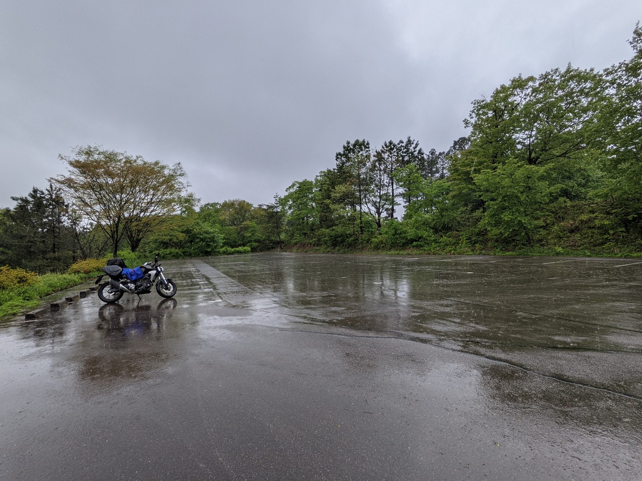 f:id:ranchou:20260110052727j:image