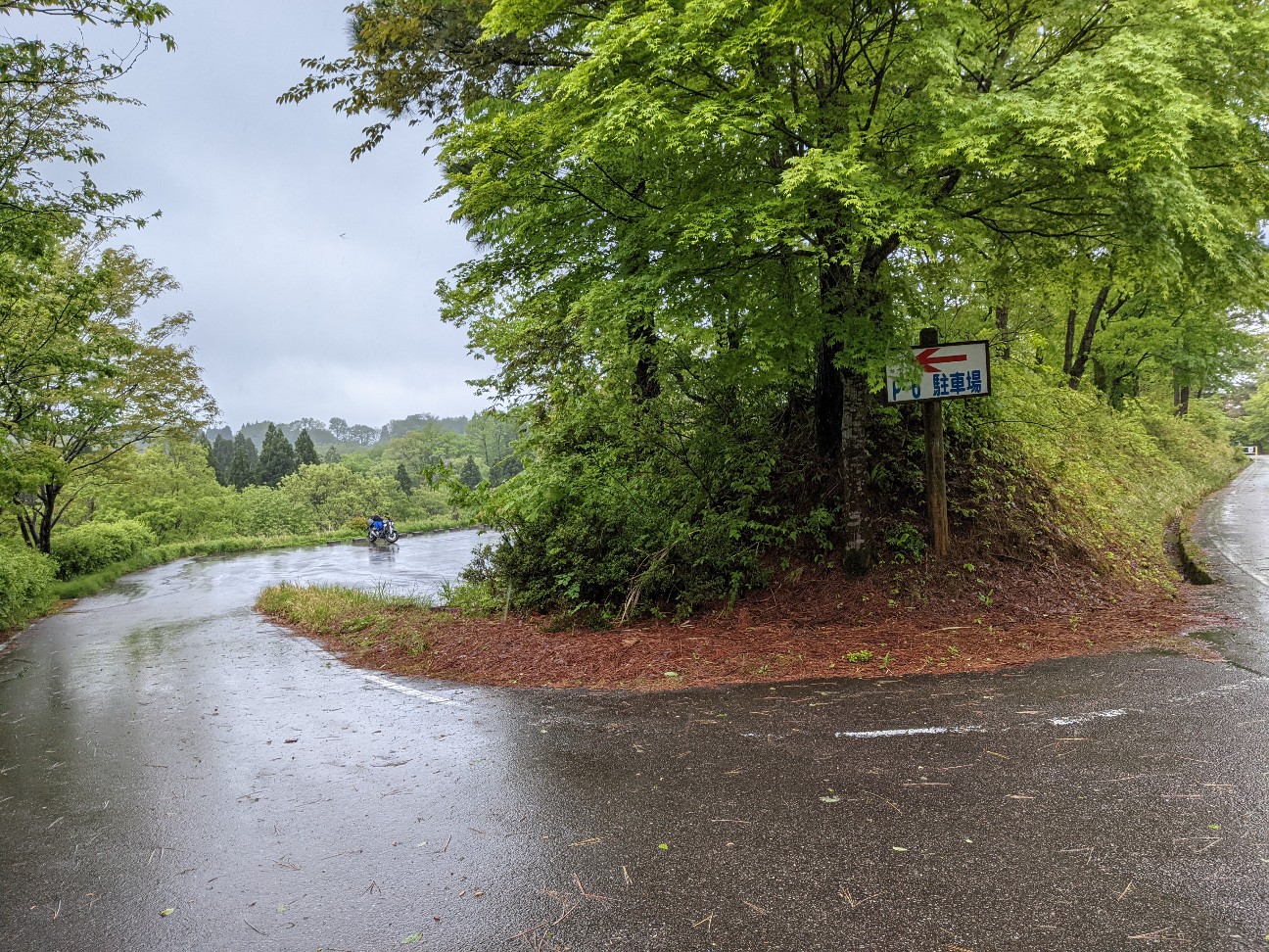 f:id:ranchou:20260110052736j:image