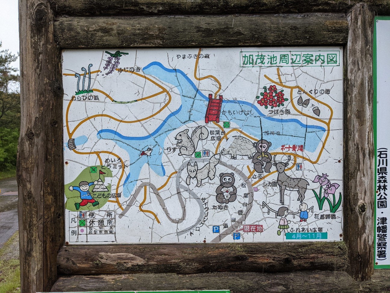 f:id:ranchou:20260110052809j:image