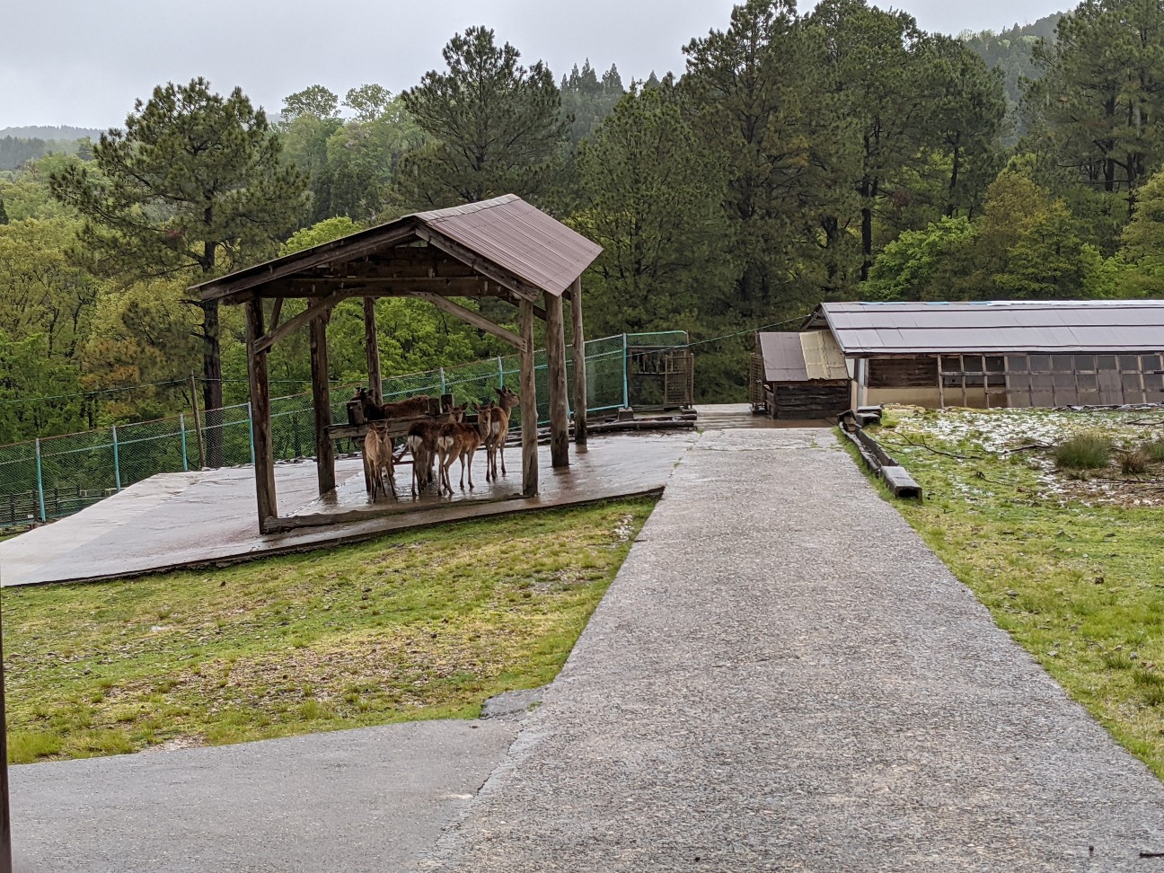 f:id:ranchou:20260110052824j:image