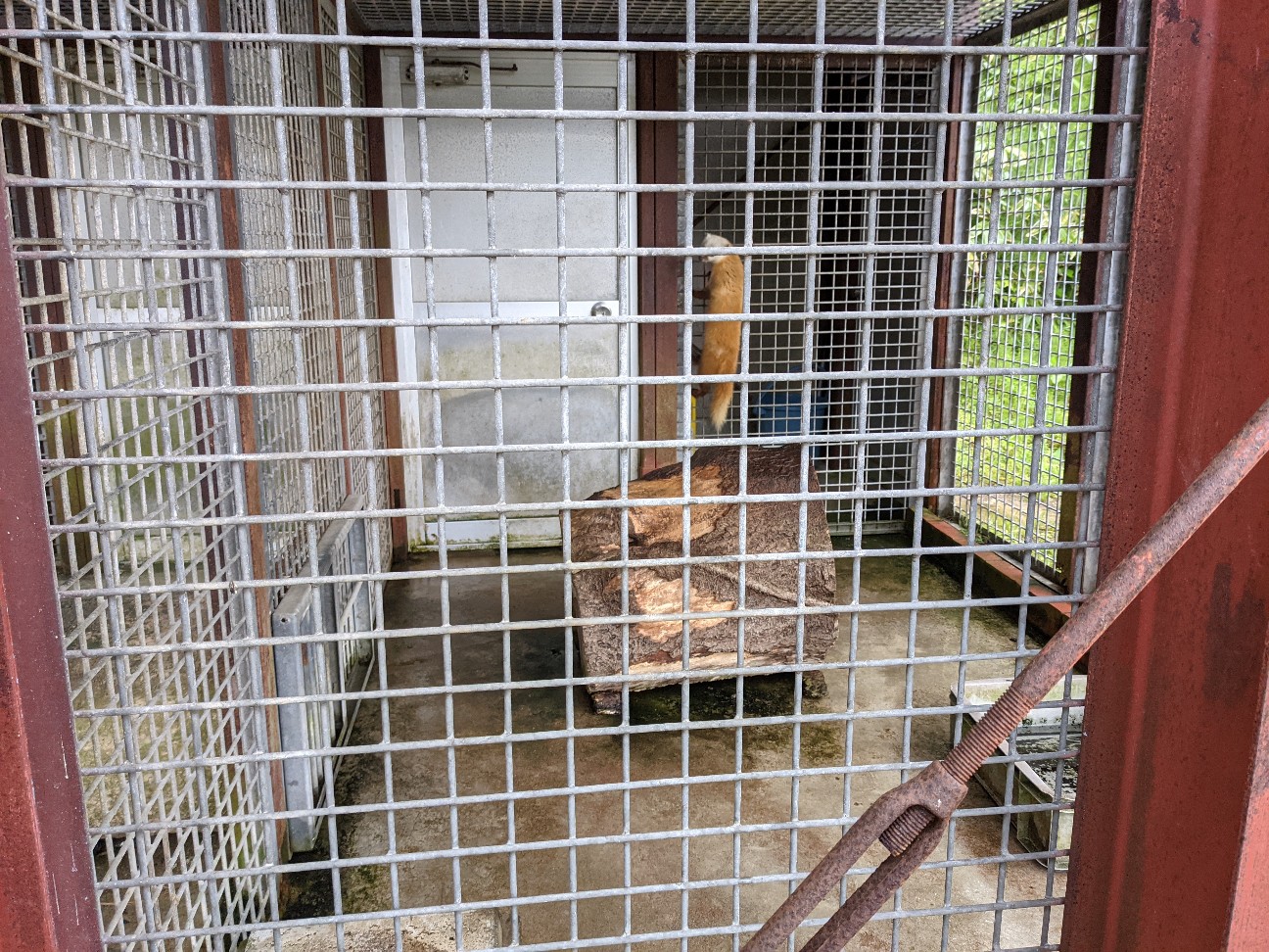 f:id:ranchou:20260110052902j:image