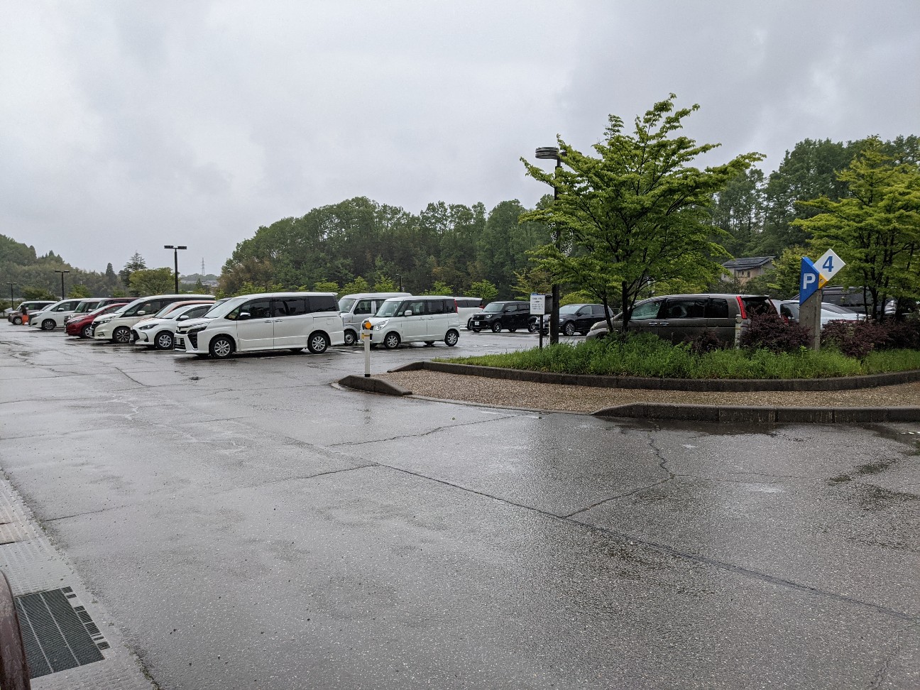 f:id:ranchou:20260110053343j:image