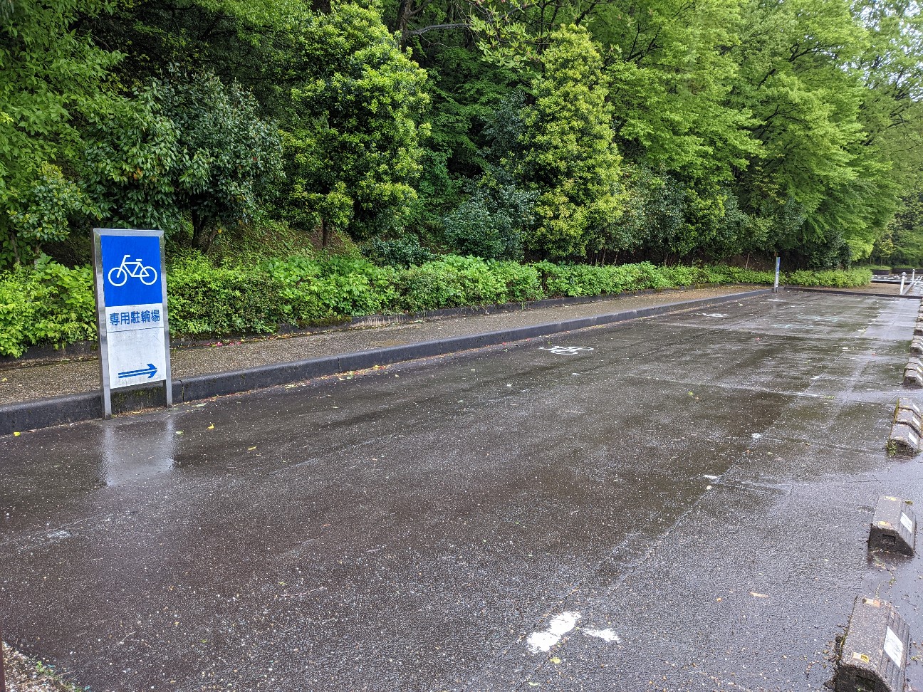 f:id:ranchou:20260110053353j:image