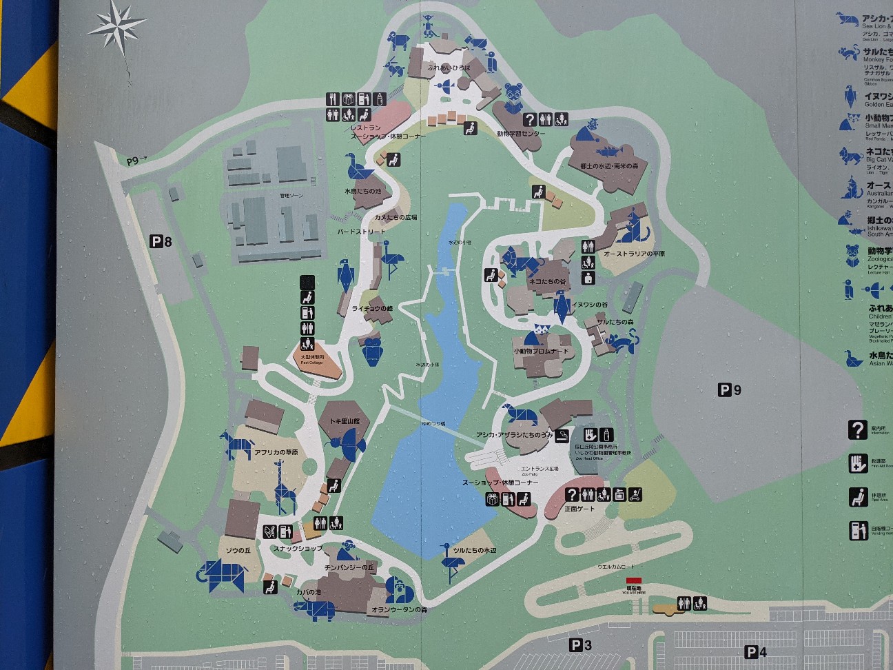 f:id:ranchou:20260110054131j:image