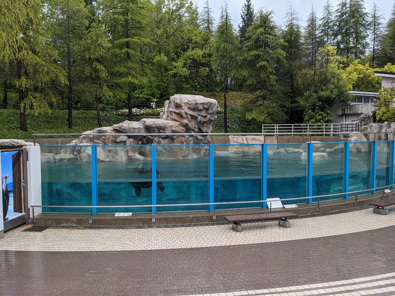 f:id:ranchou:20260110054148j:image