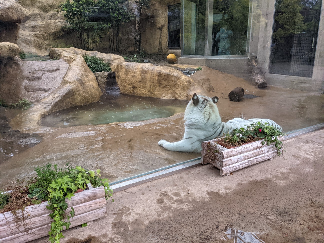 f:id:ranchou:20260110054158j:image