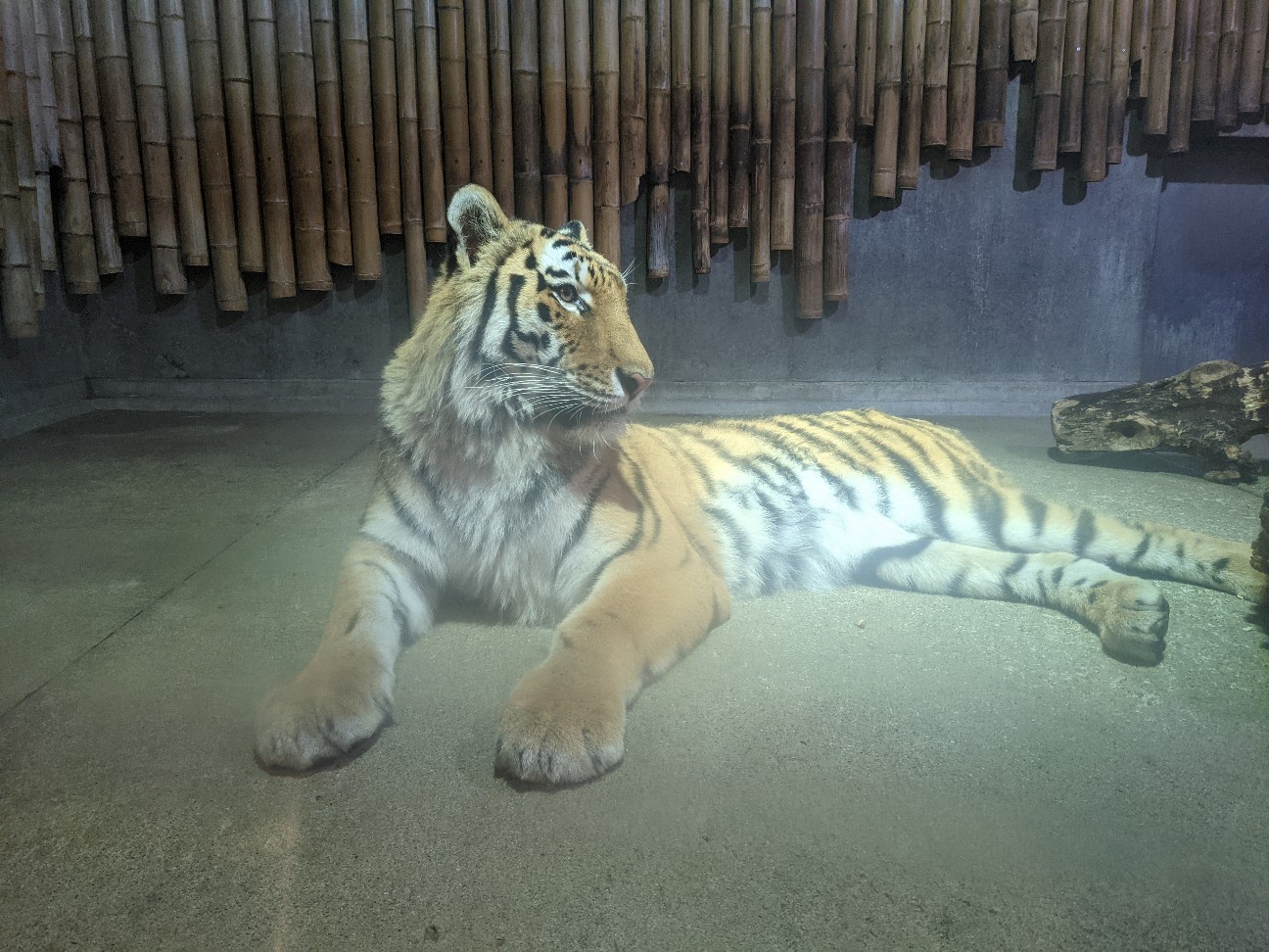 f:id:ranchou:20260110054212j:image