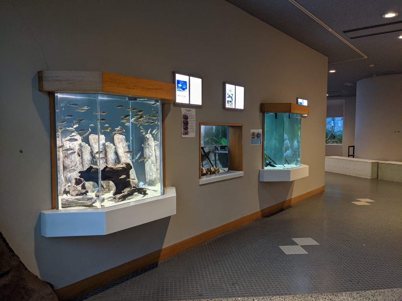 f:id:ranchou:20260110054335j:image