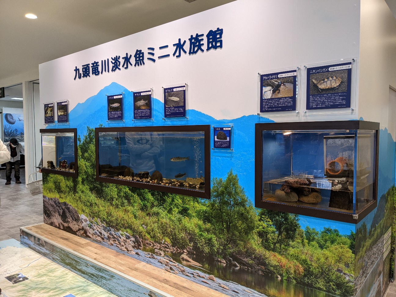 f:id:ranchou:20260110055032j:image