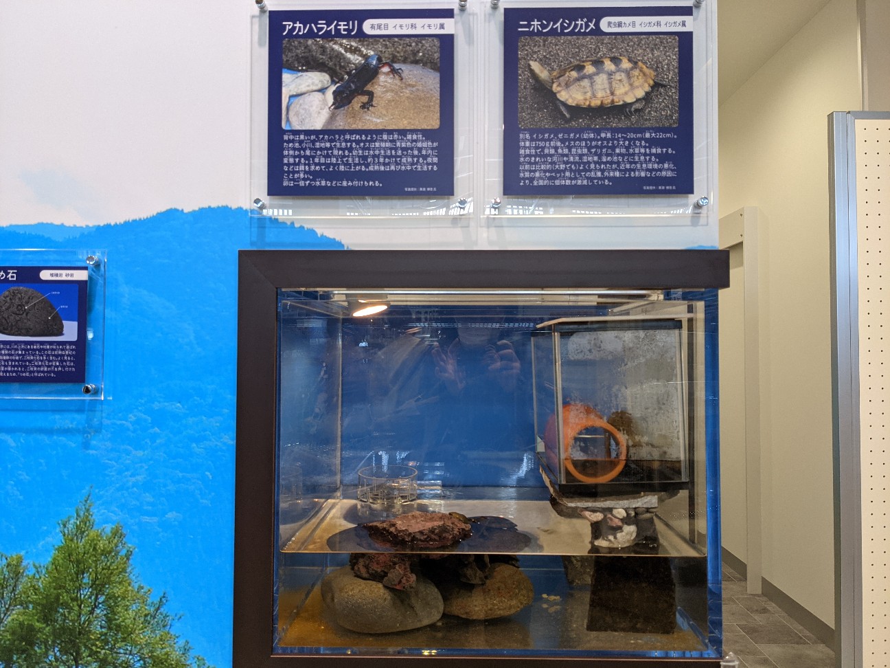 f:id:ranchou:20260110055257j:image