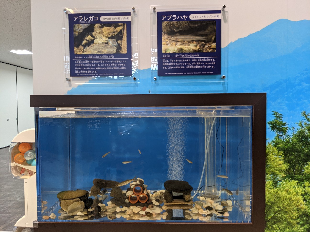 f:id:ranchou:20260110055306j:image