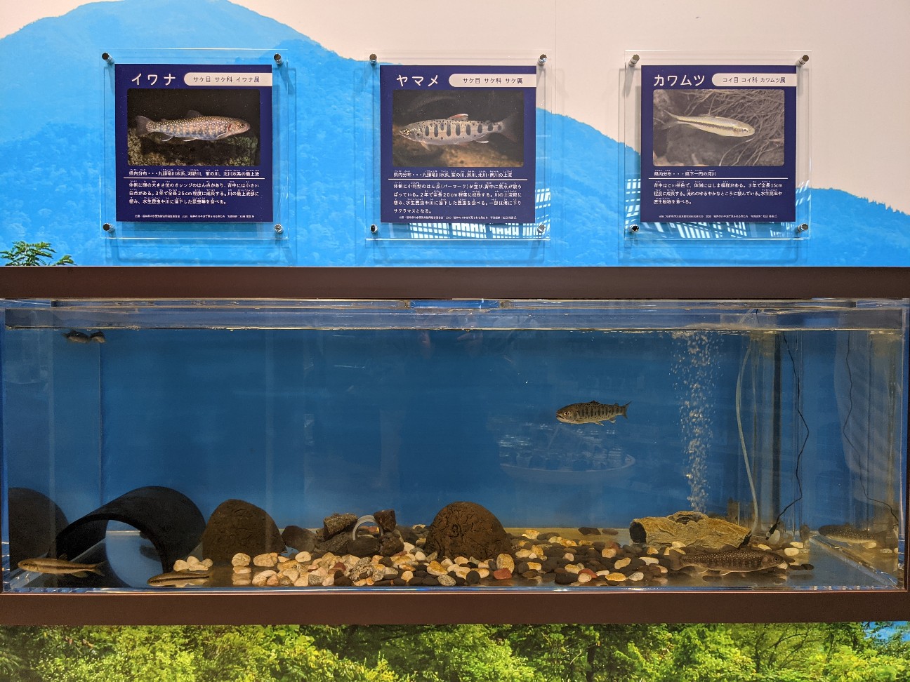 f:id:ranchou:20260110055315j:image