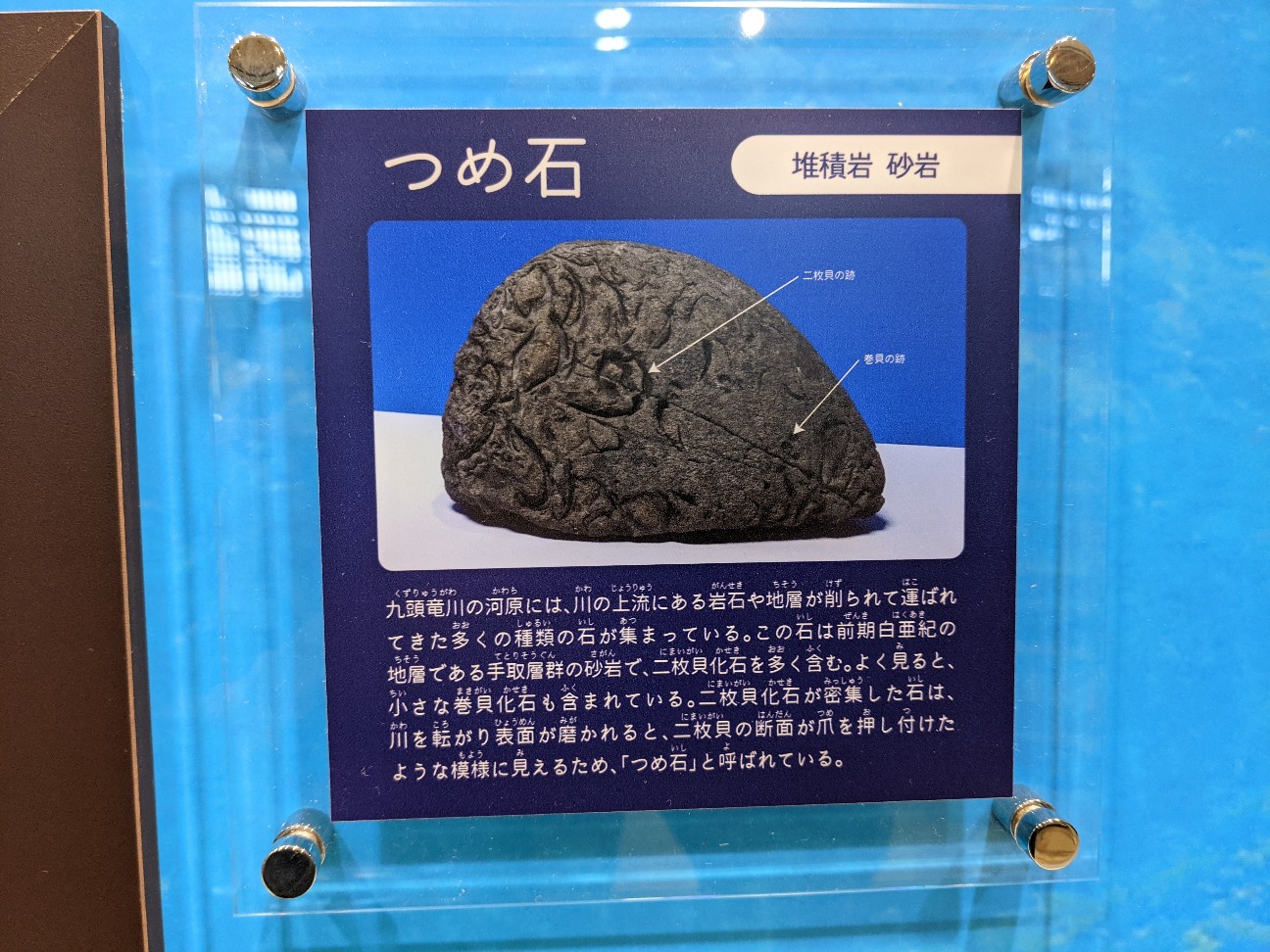 f:id:ranchou:20260110055406j:image