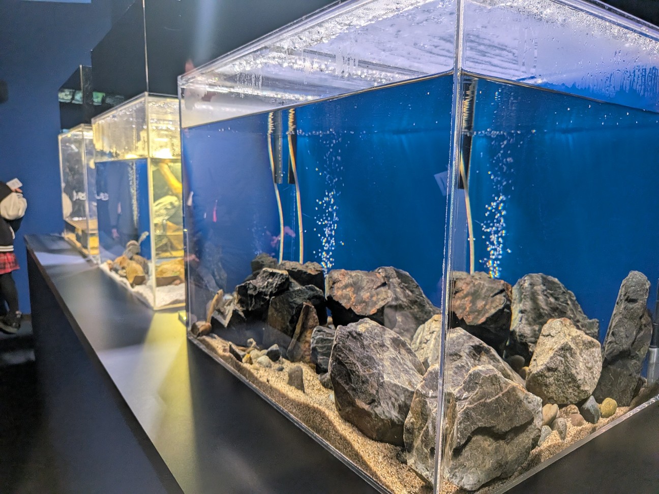 f:id:ranchou:20260110183521j:image f:id:ranchou:20260110183521j:image