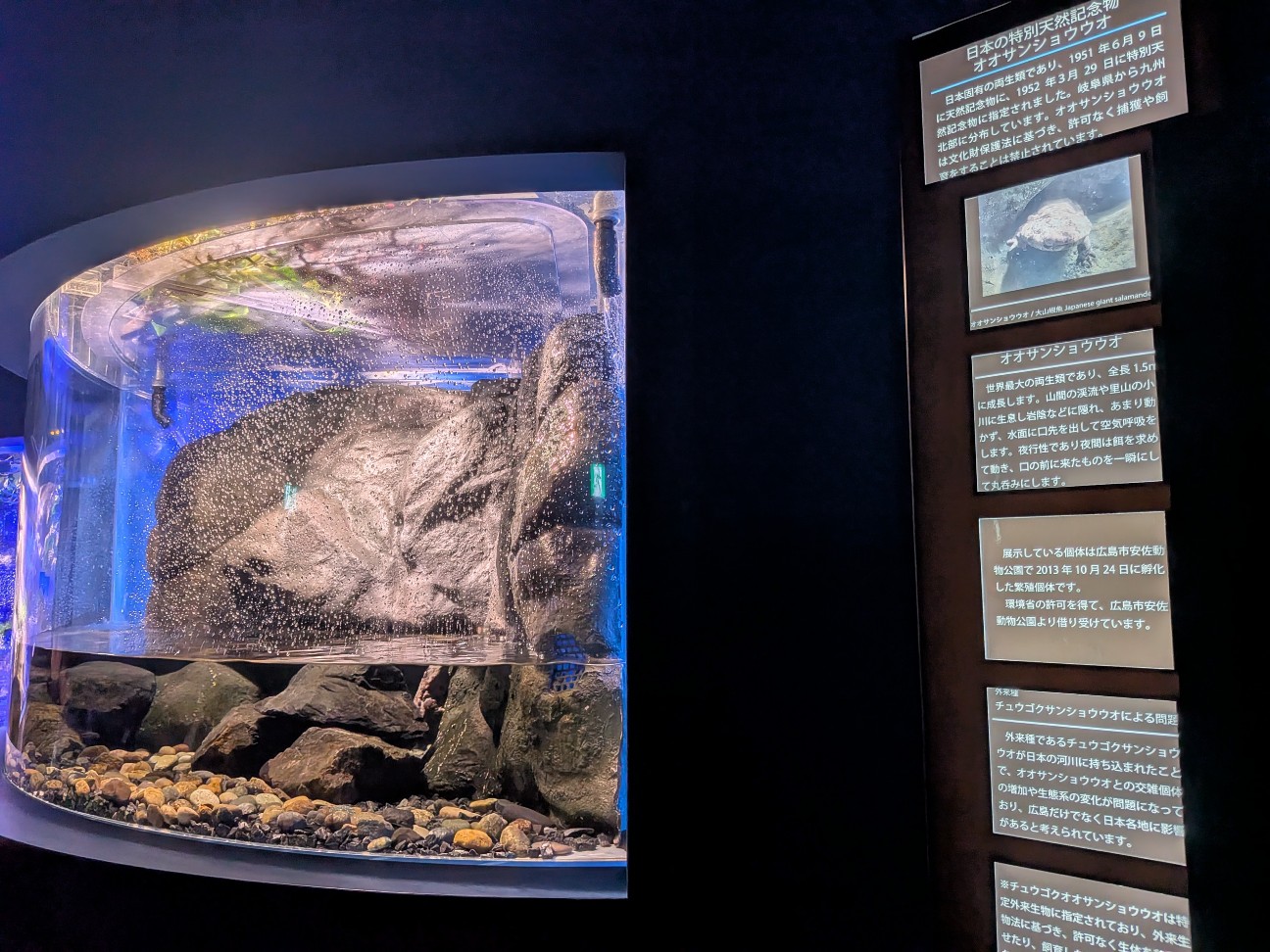 f:id:ranchou:20260110183533j:image f:id:ranchou:20260110183533j:image