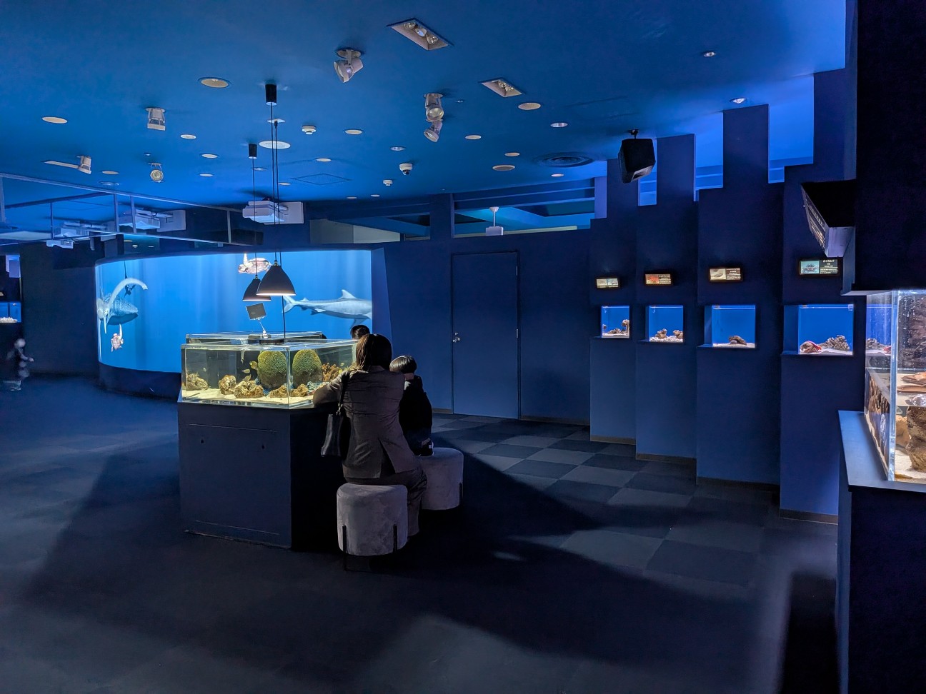 f:id:ranchou:20260110183746j:image f:id:ranchou:20260110183746j:image