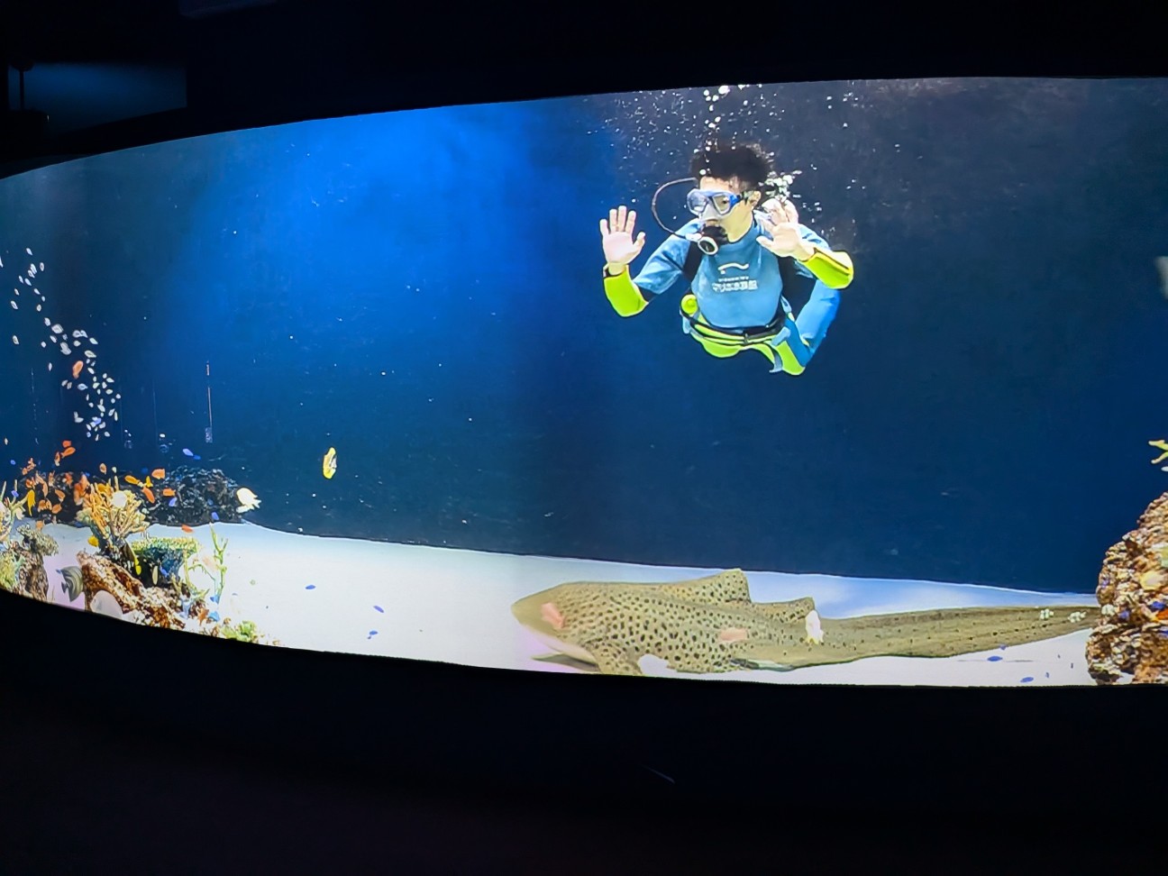 f:id:ranchou:20260110183806j:image f:id:ranchou:20260110183806j:image