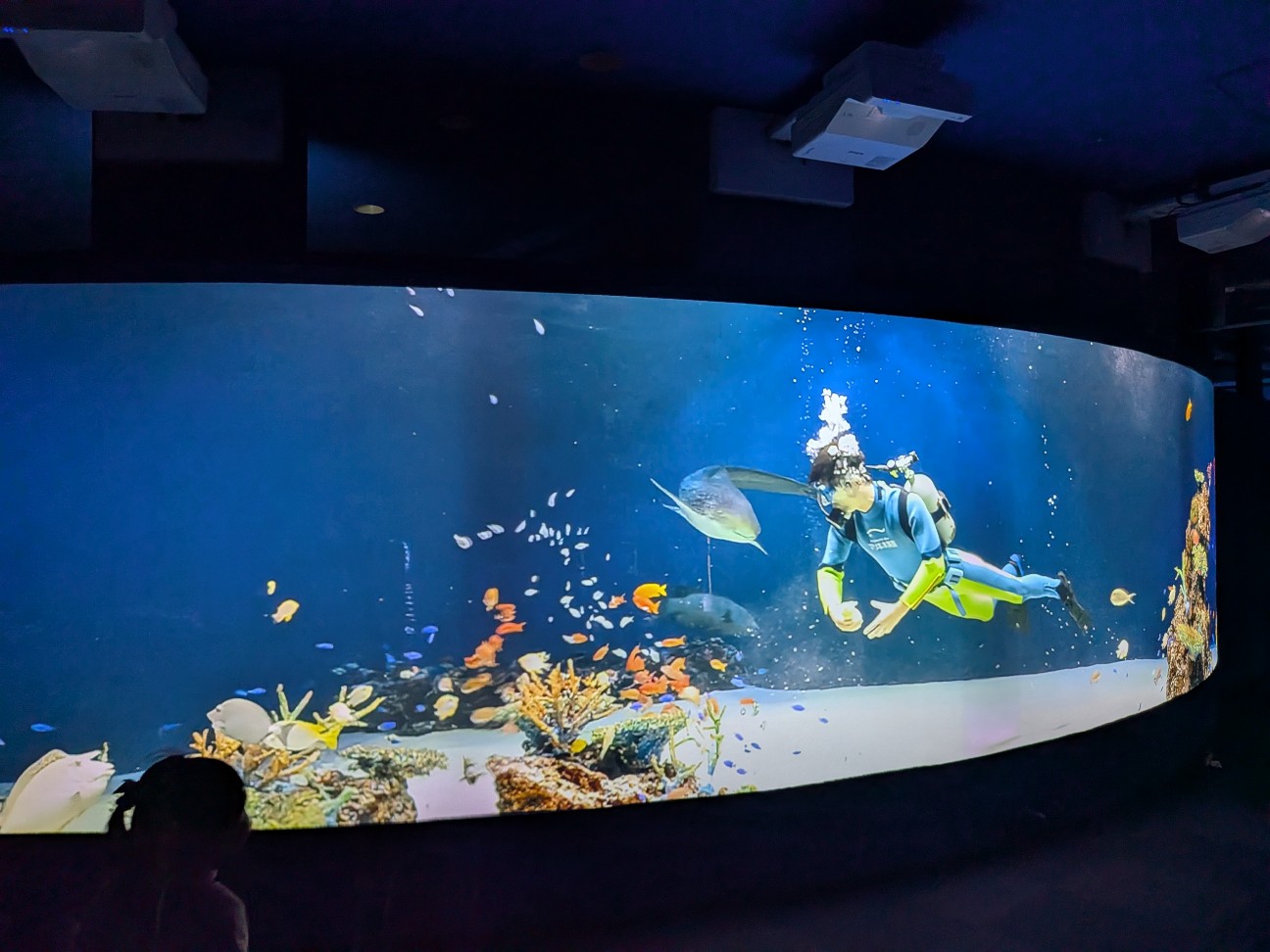 f:id:ranchou:20260110183813j:image f:id:ranchou:20260110183813j:image