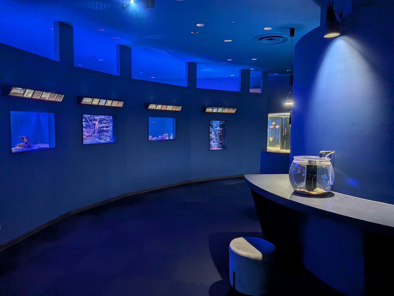 f:id:ranchou:20260110184143j:image f:id:ranchou:20260110184143j:image