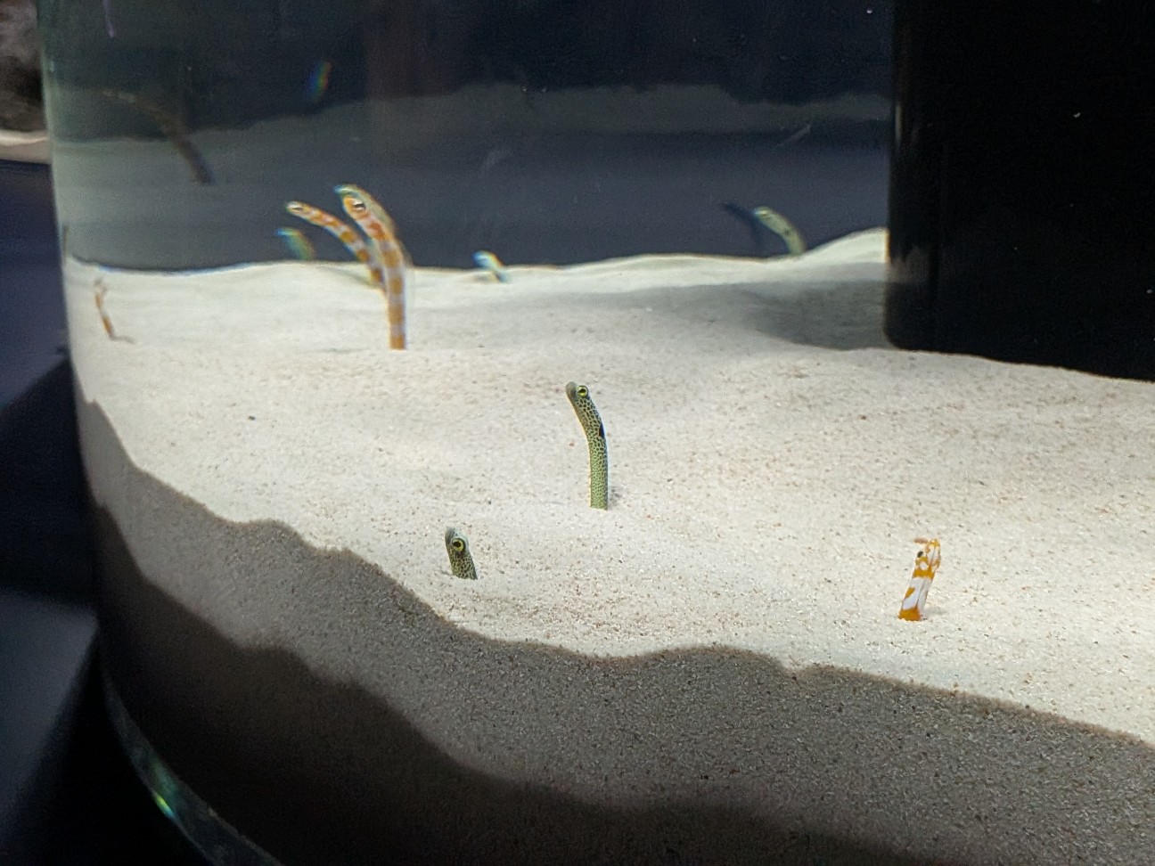 f:id:ranchou:20260110184153j:image f:id:ranchou:20260110184153j:image