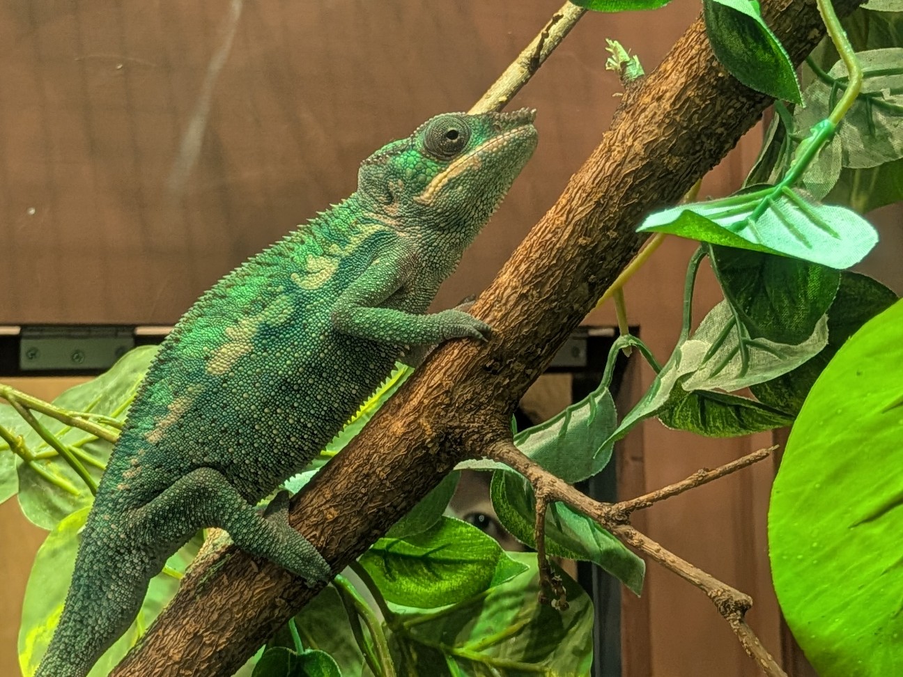 f:id:ranchou:20260110184235j:image f:id:ranchou:20260110184235j:image