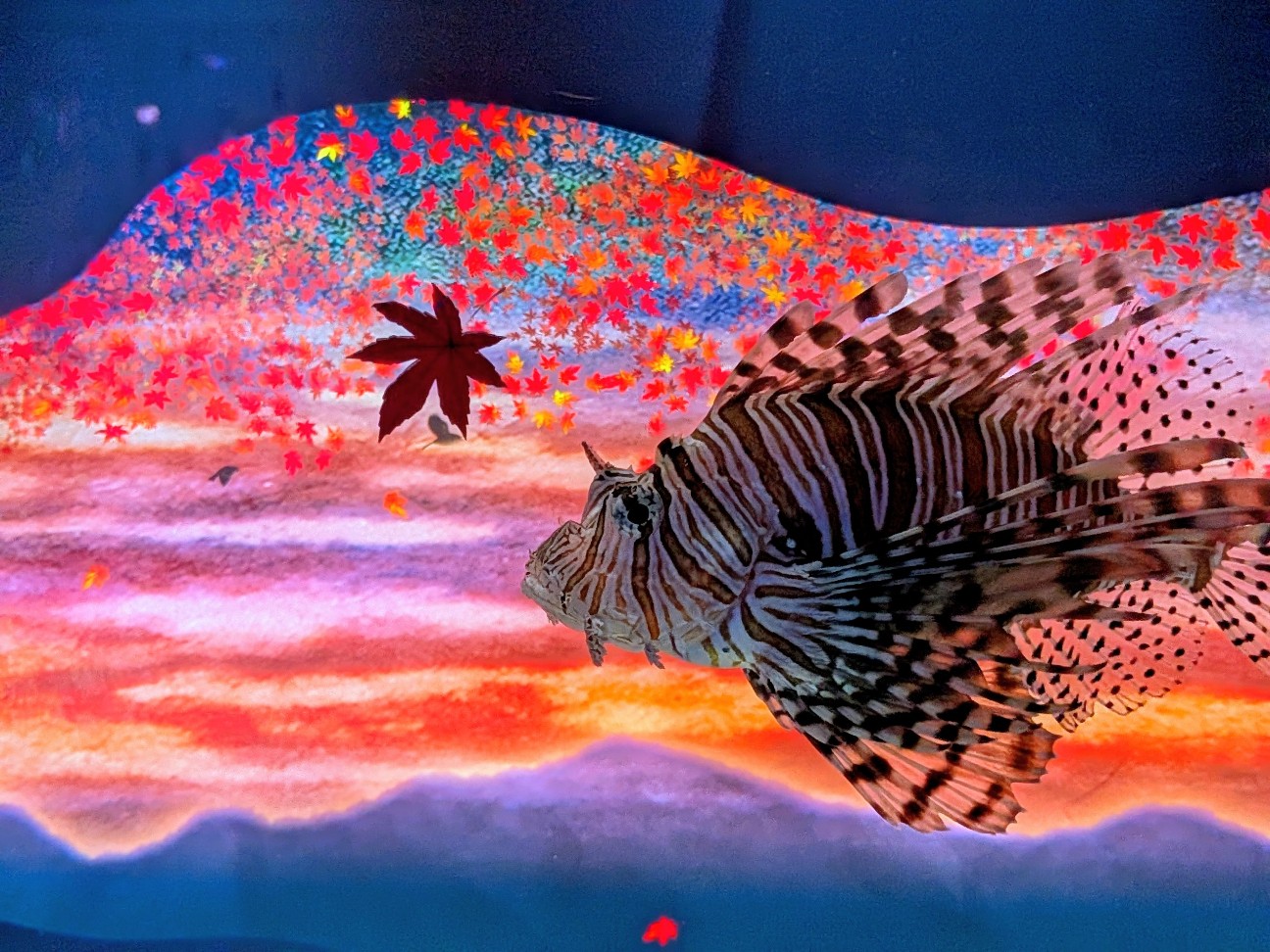 f:id:ranchou:20260111111455j:image f:id:ranchou:20260111111455j:image