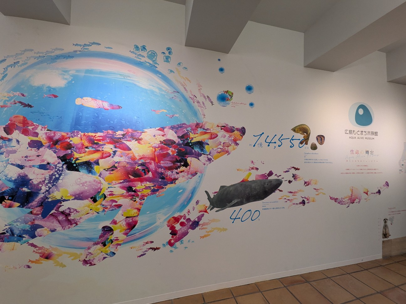 f:id:ranchou:20260111111602j:image f:id:ranchou:20260111111602j:image