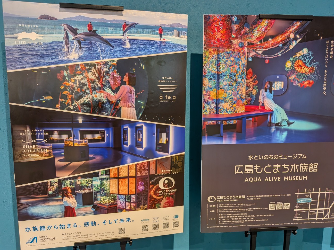 f:id:ranchou:20260111111623j:image f:id:ranchou:20260111111623j:image