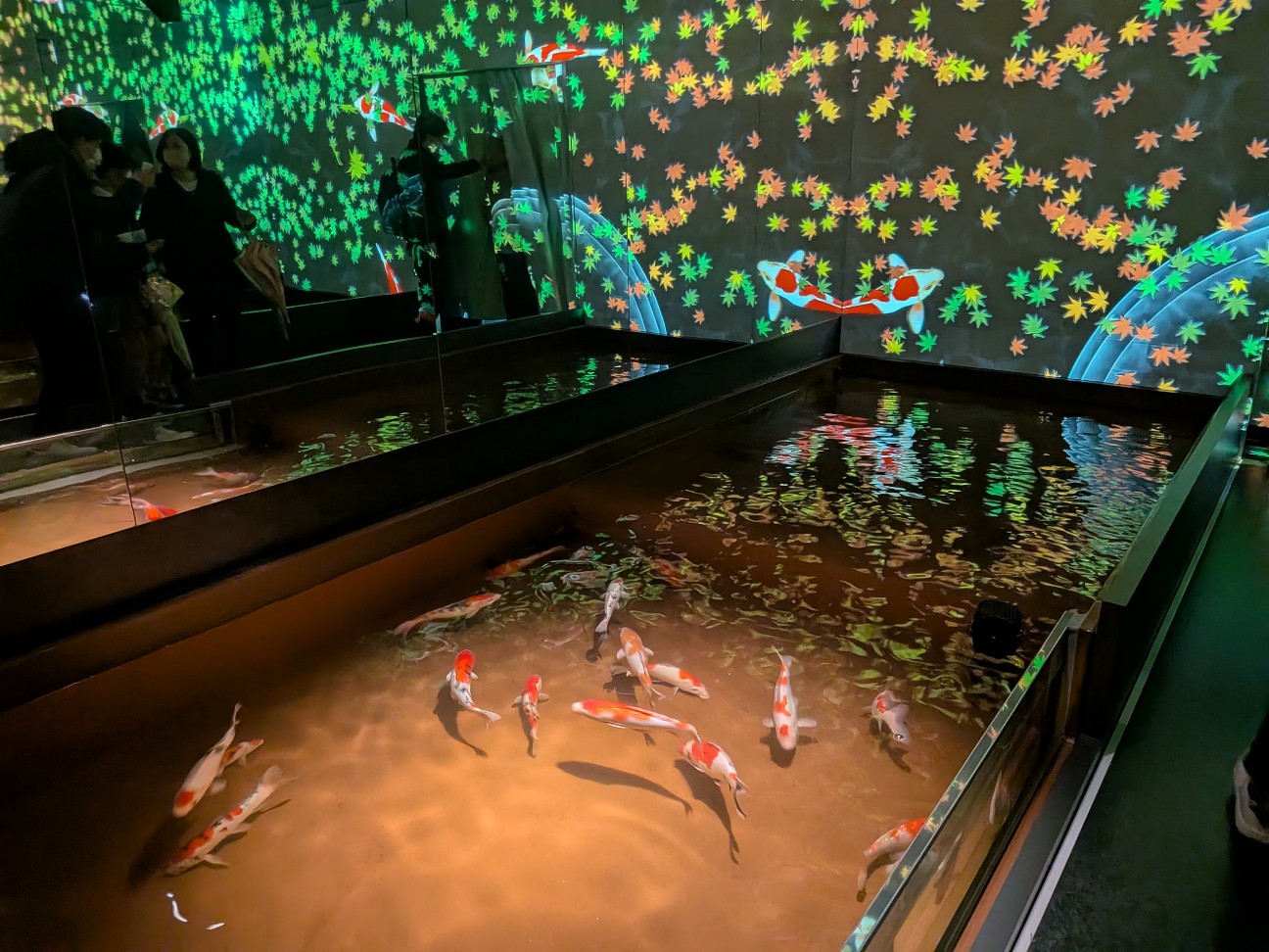 f:id:ranchou:20260111111706j:image f:id:ranchou:20260111111706j:image