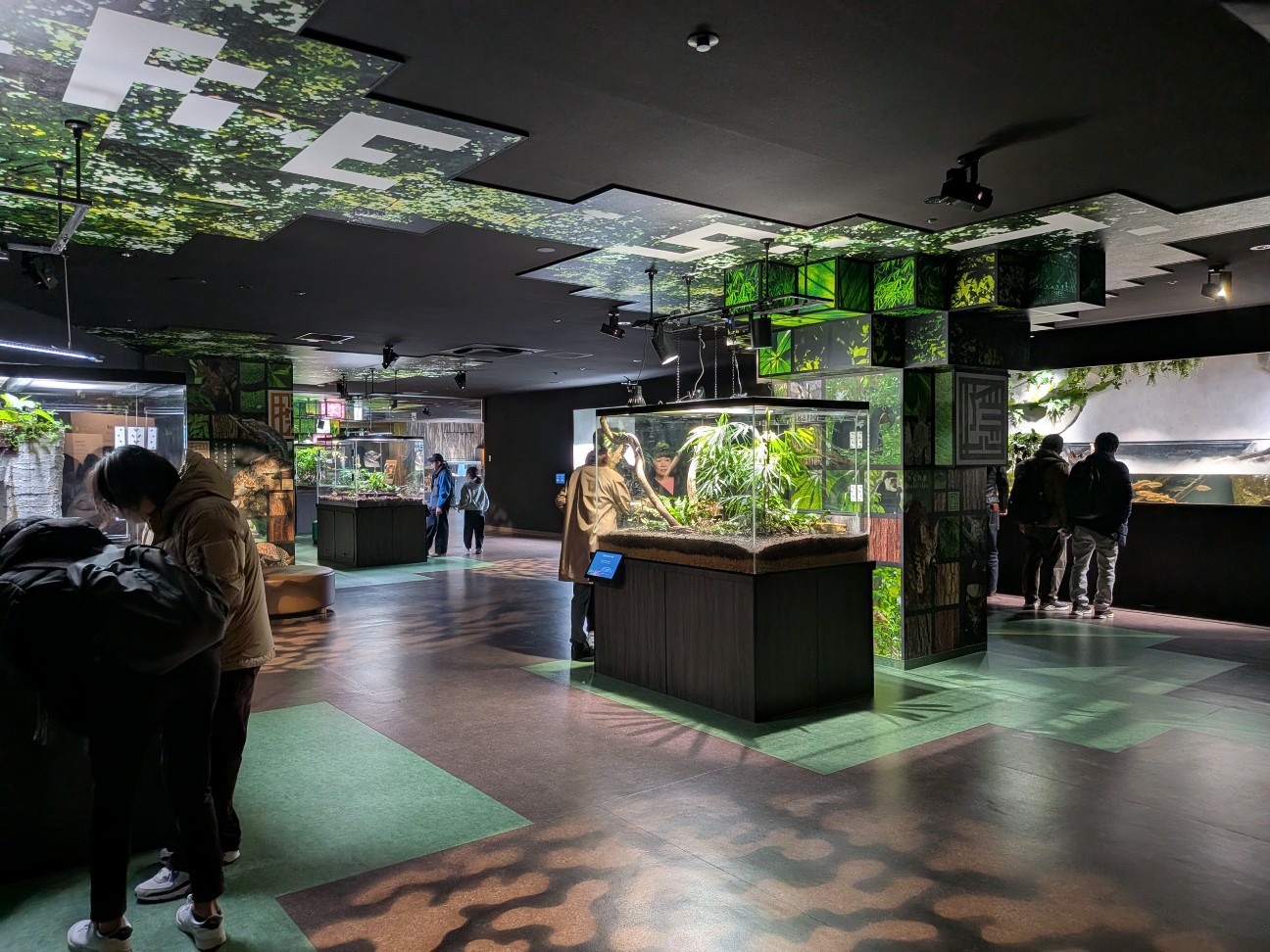 f:id:ranchou:20260111111746j:image f:id:ranchou:20260111111746j:image