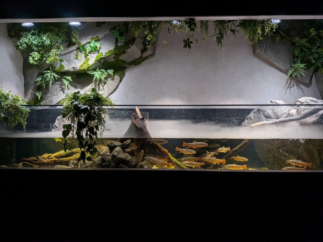 f:id:ranchou:20260111111824j:image f:id:ranchou:20260111111824j:image