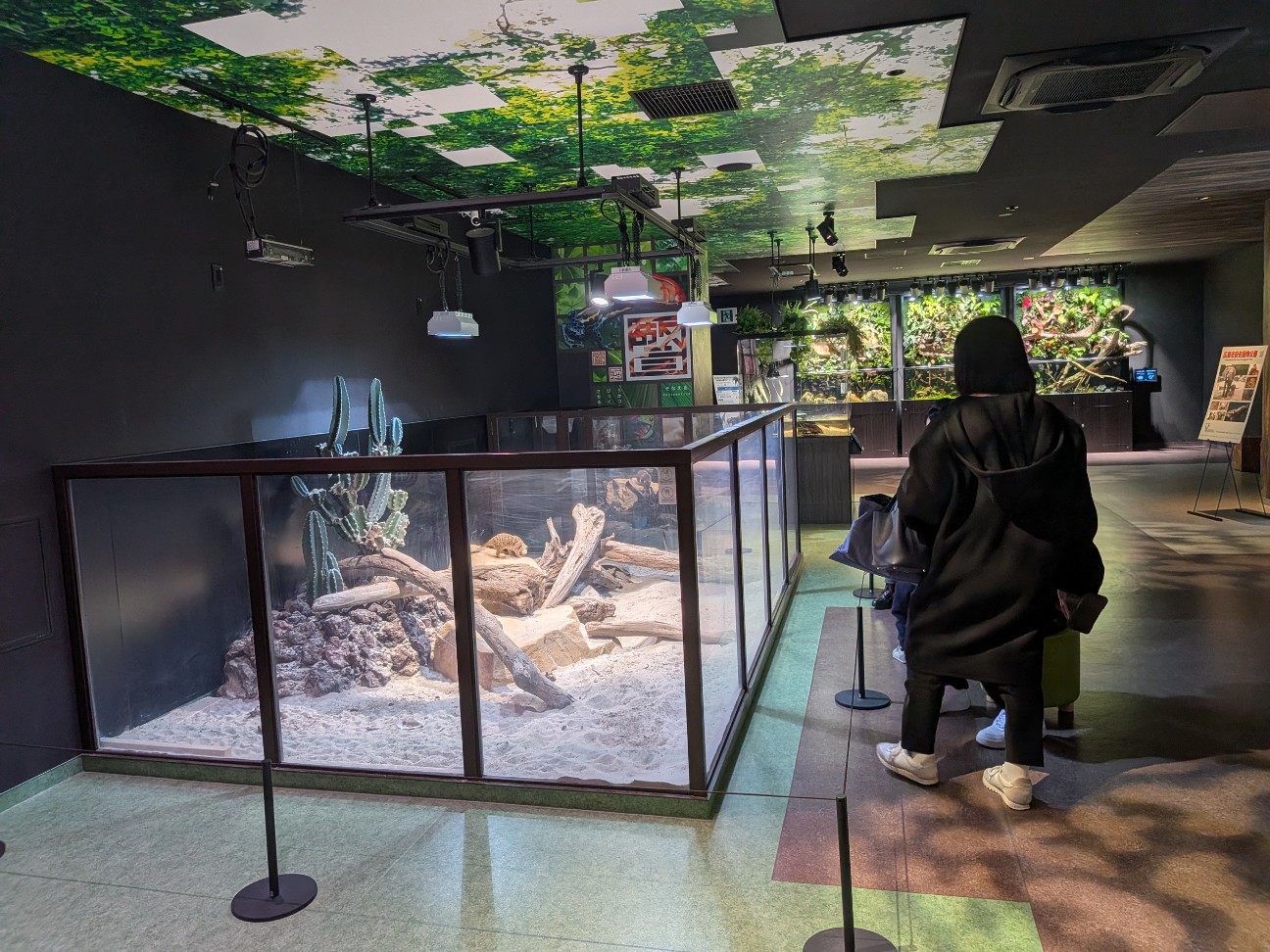 f:id:ranchou:20260111111931j:image f:id:ranchou:20260111111931j:image