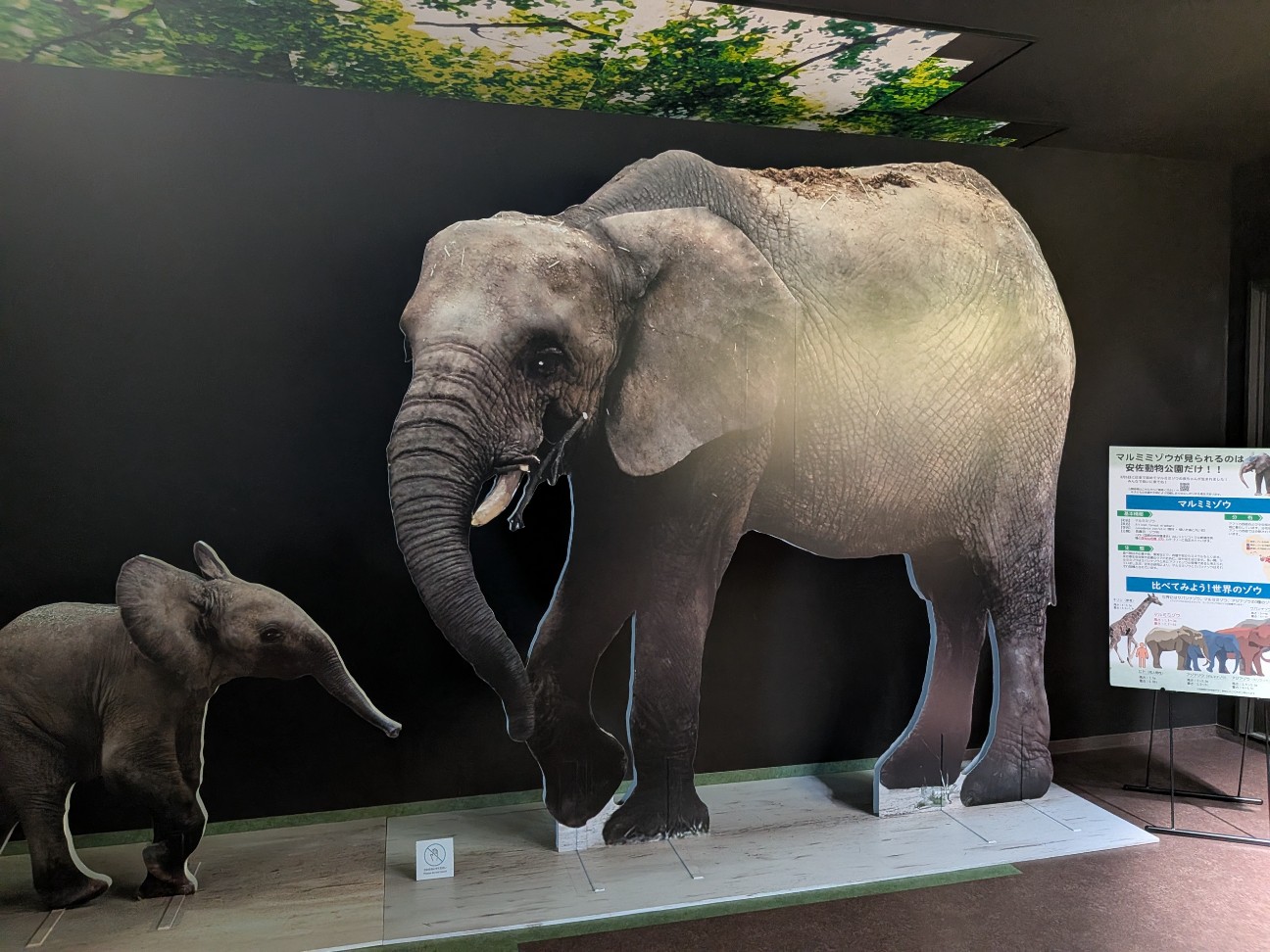 f:id:ranchou:20260111112032j:image f:id:ranchou:20260111112032j:image