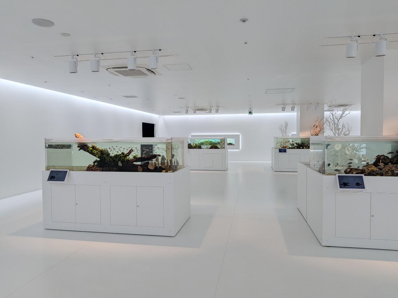 f:id:ranchou:20260111112054j:image f:id:ranchou:20260111112054j:image