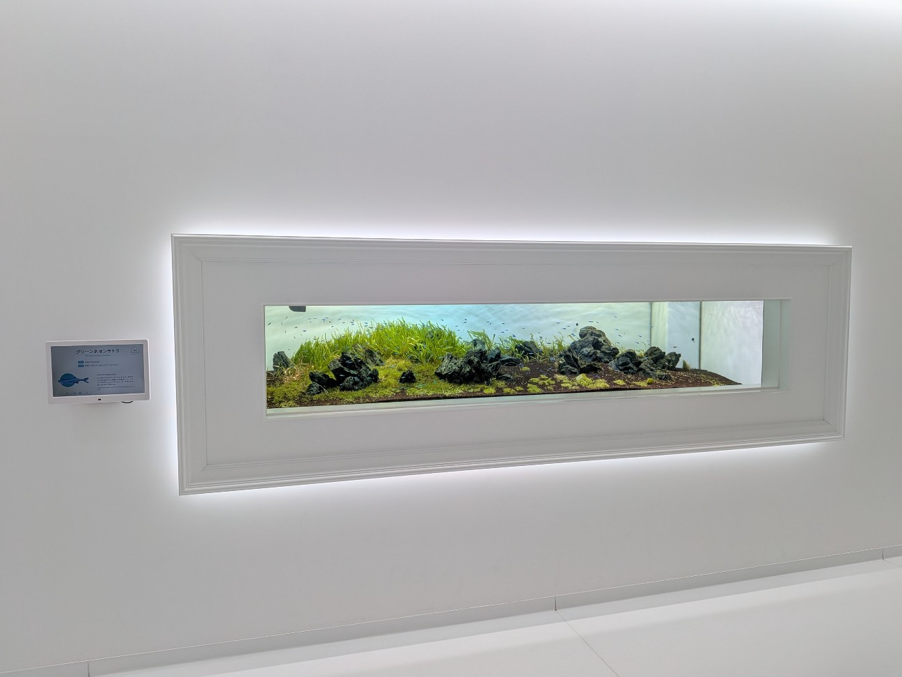 f:id:ranchou:20260111112112j:image f:id:ranchou:20260111112112j:image