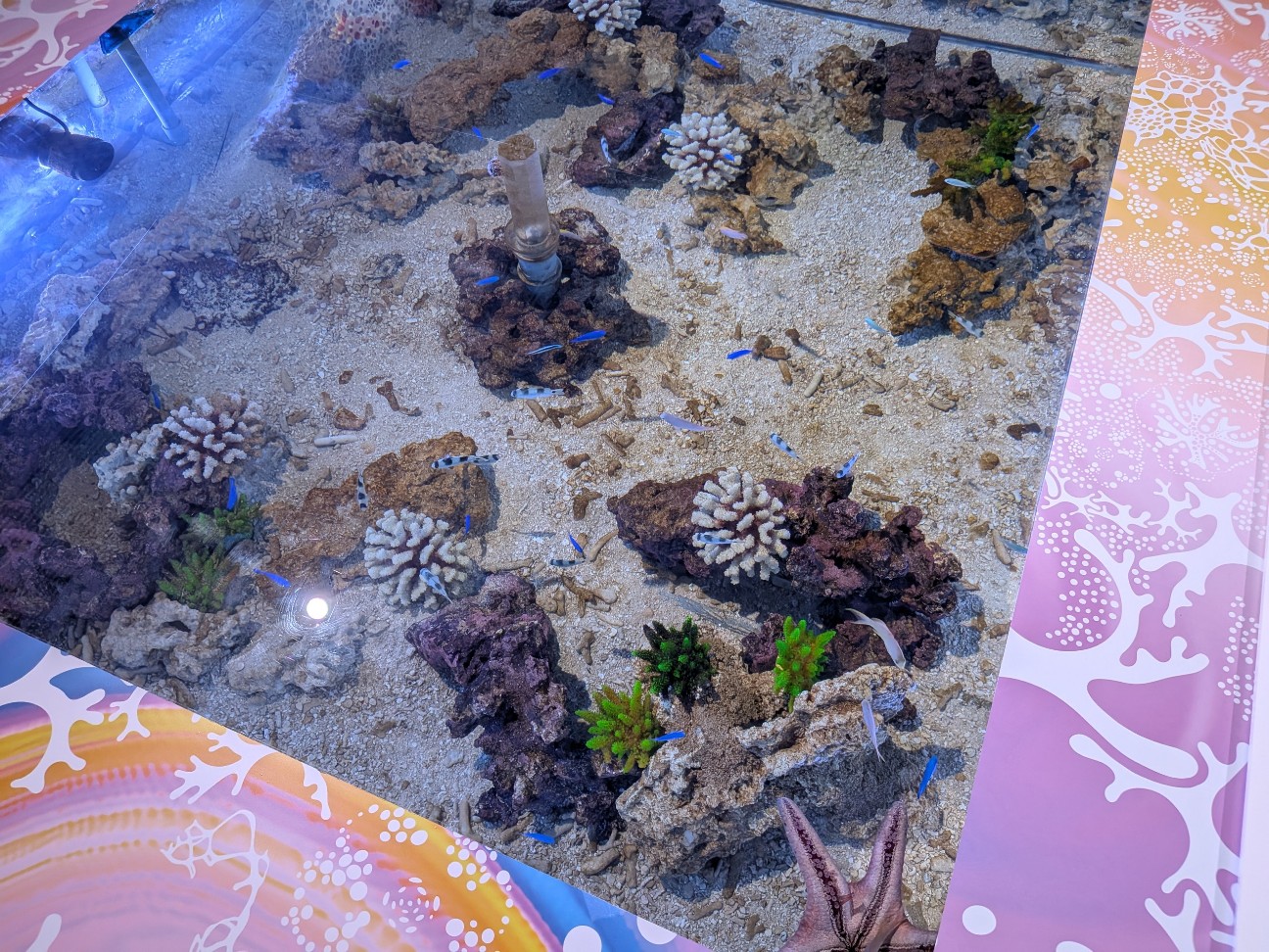 f:id:ranchou:20260111112433j:image f:id:ranchou:20260111112433j:image