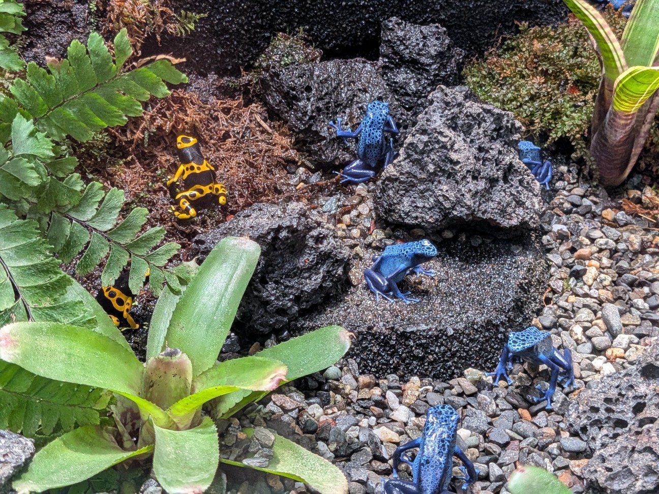 f:id:ranchou:20260111112611j:image f:id:ranchou:20260111112611j:image