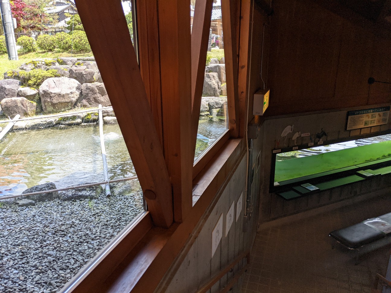 f:id:ranchou:20260111161958j:image